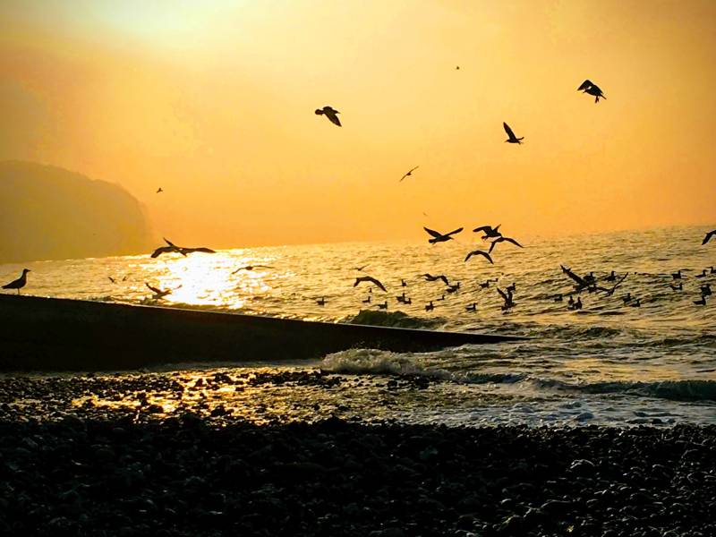 Coucher de soleil à Pourville sur mer
